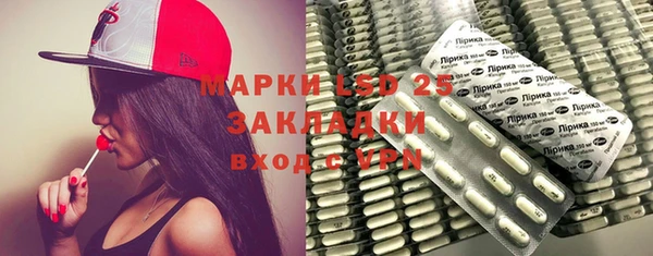 индика Алзамай