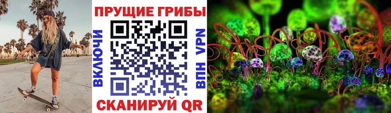 Галлюциногенные грибы Psilocybine cubensis  цена наркотик  Грозный 