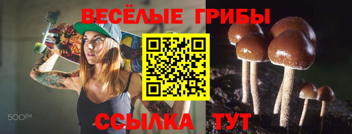 Грозный  Псилоцибиновые грибы MAGIC MUSHROOMS  Вход с VPN 